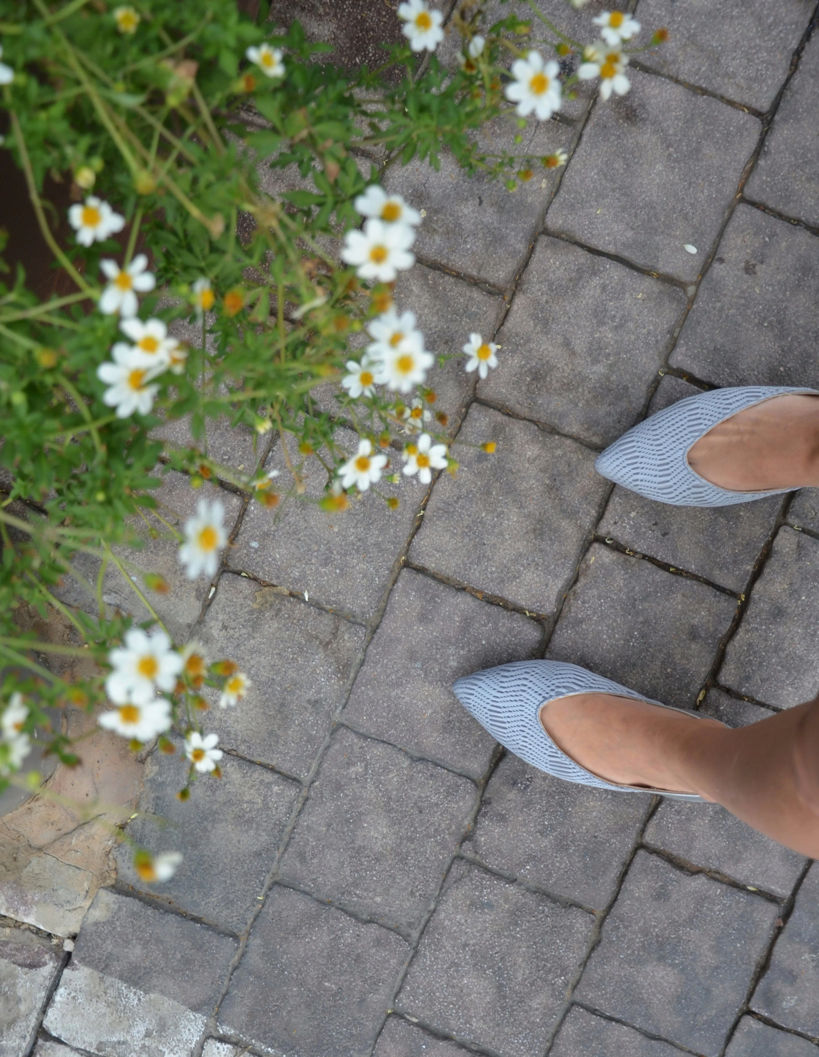 #14 Gray 3D mesh flat
