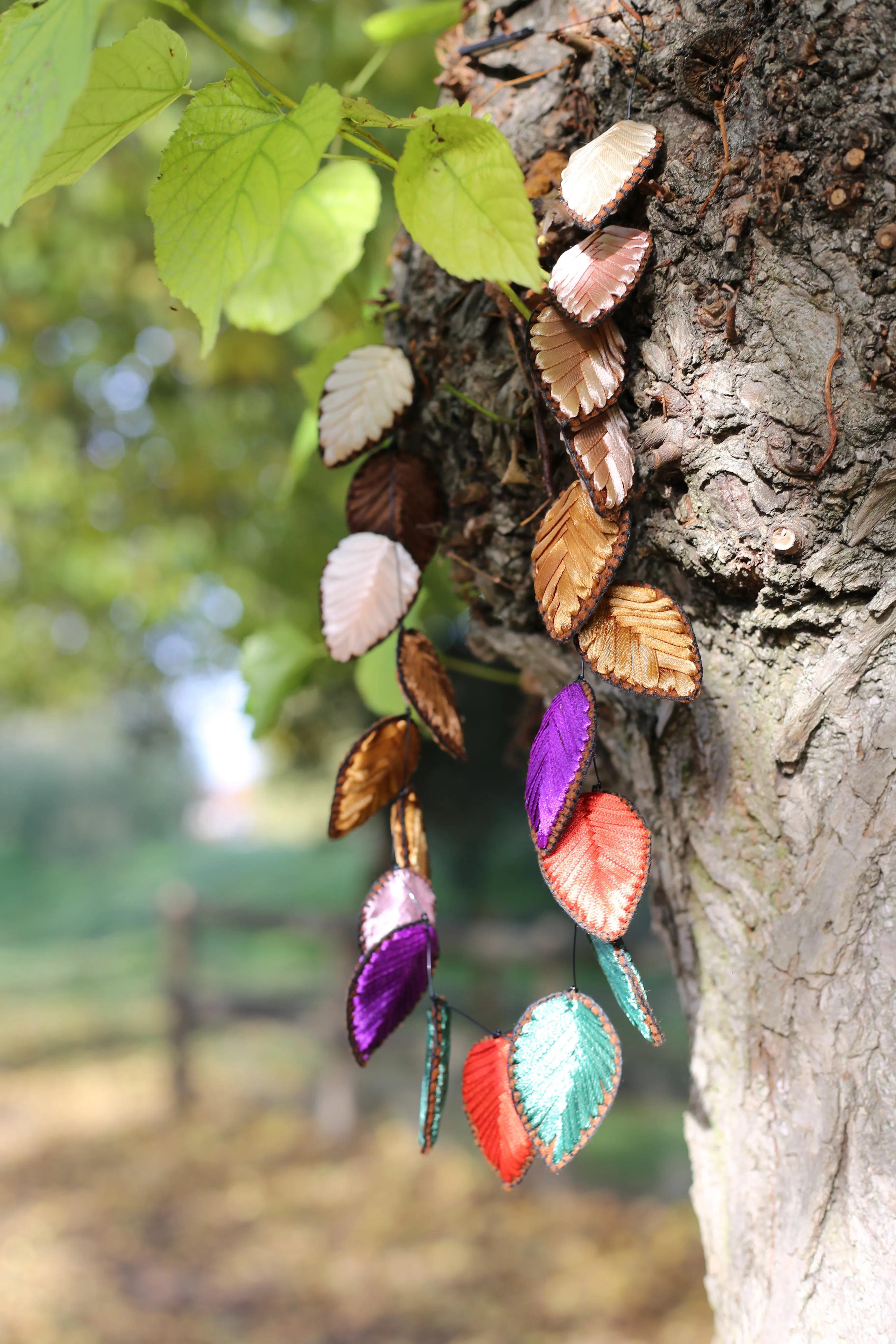 Autumn leaves 7