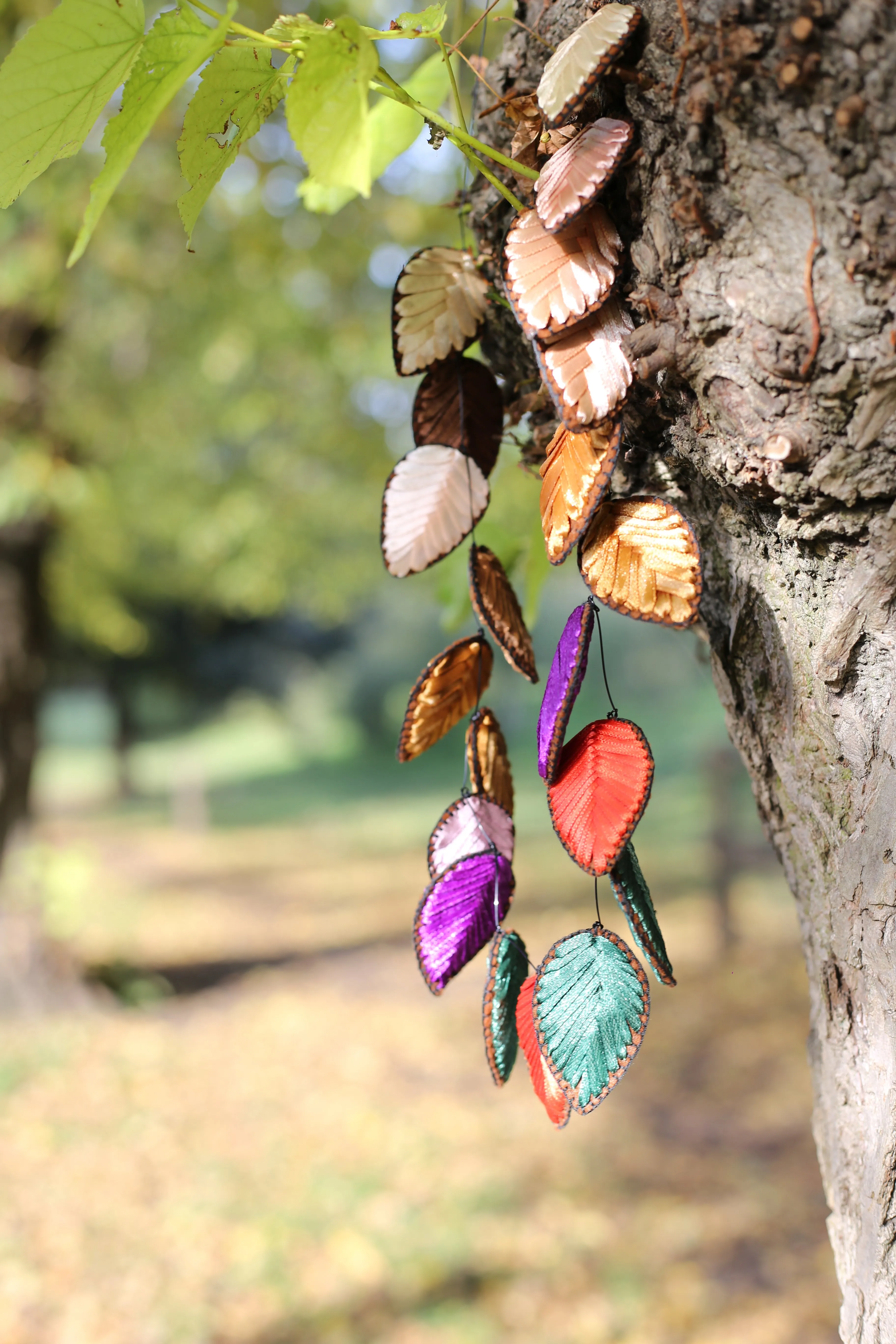 Autumn leaves 7