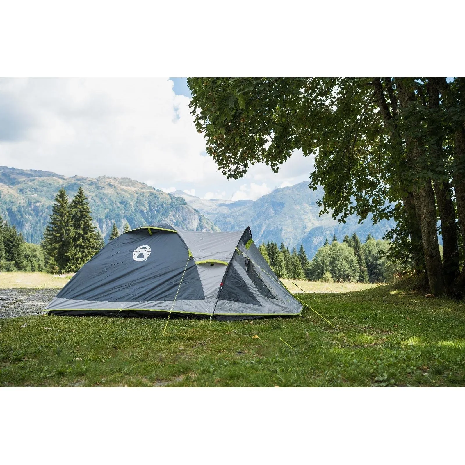 Coleman Tent Darwin 4  Compact 4 Person Dome Tent Camping