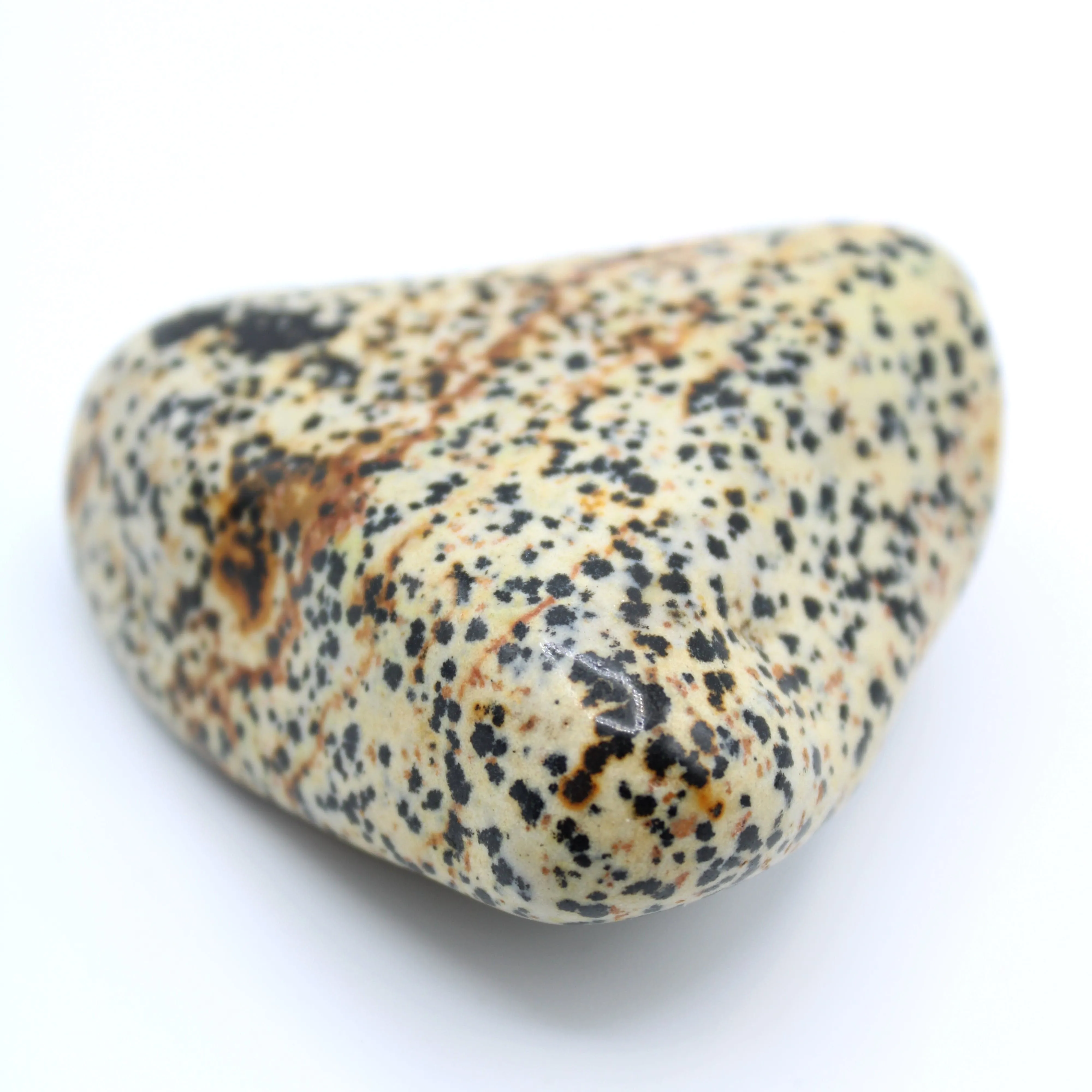 Dalmatian Jasper Free-Form