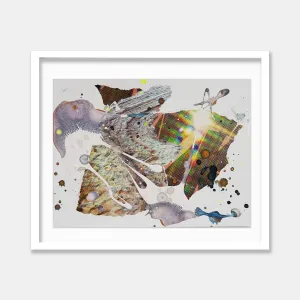 Experiment_48