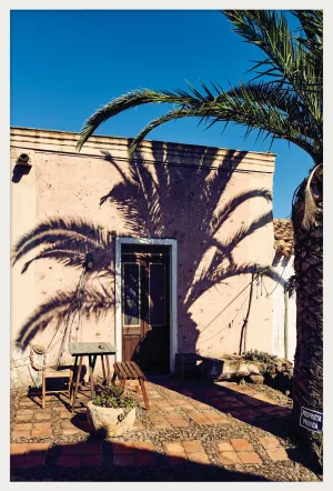 Palm Shadow