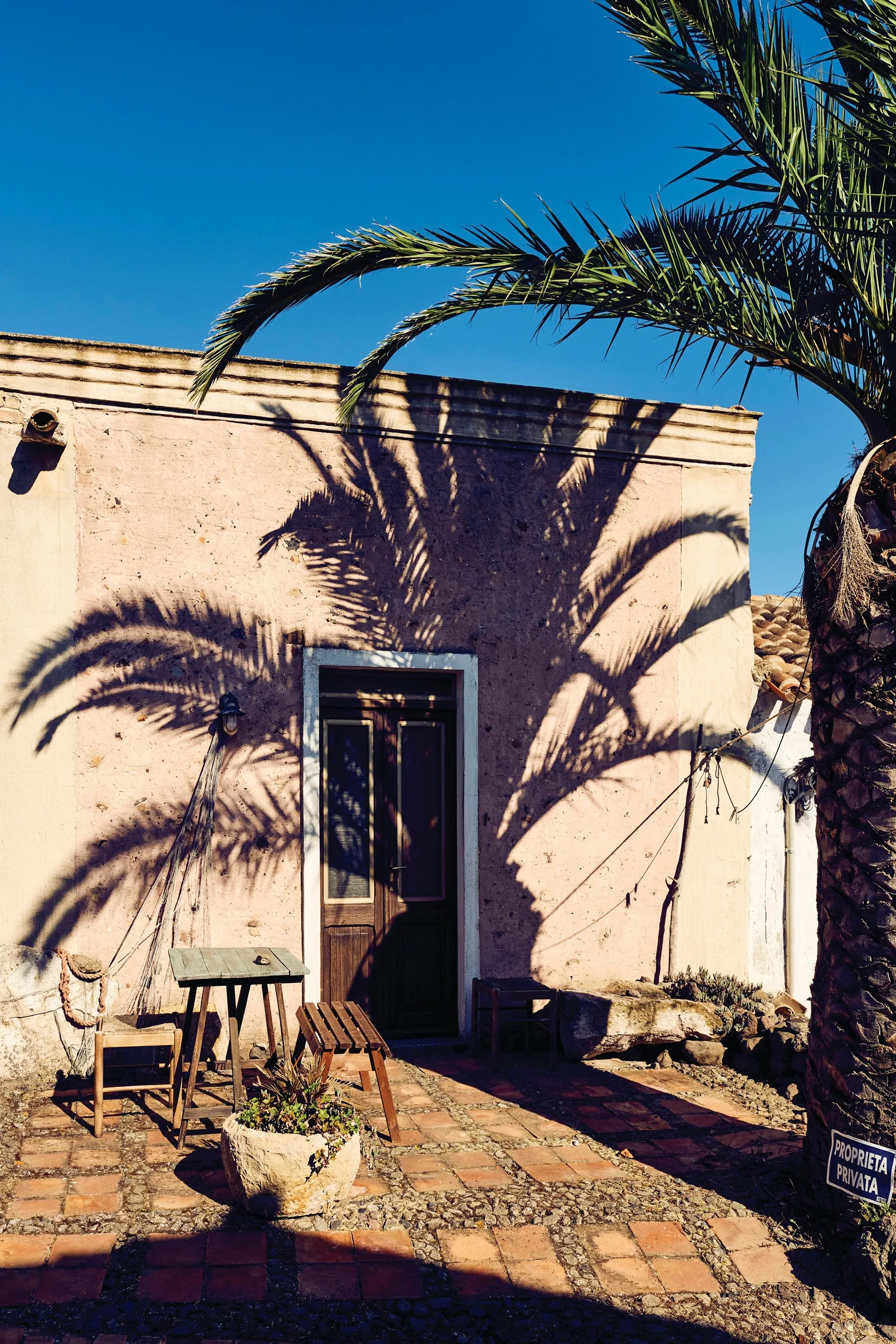 Palm Shadow