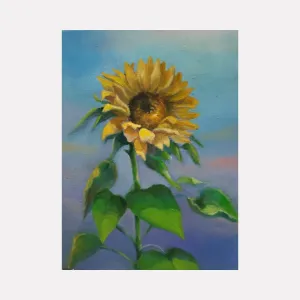 solo of sunflower