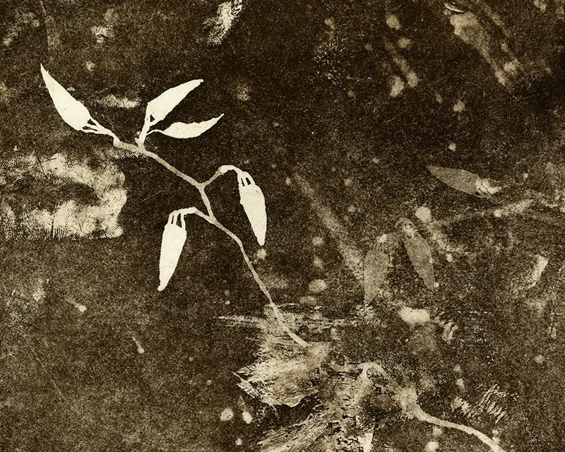 Spring Eternal 1